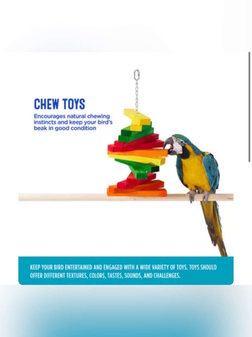 All Living Things® Spinning Fan Bird Bird Toy